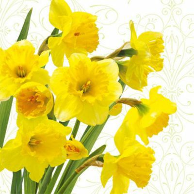 Napkins | Yellow Daffodils Floral Lunch Napkin – 20 Pack Dinnerware Napkins